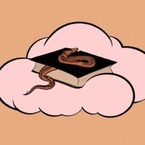 Spiritual Meaning Of Being Chased By A Snake In A Dream