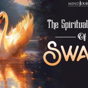 Spiritual Meaning Of Swimming In A Dream With Someone