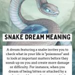 Being Chased by A Snake in A Dream Meaning