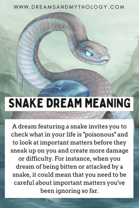 Being Chased by A Snake in A Dream Meaning