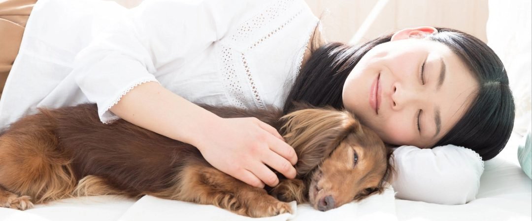 Start Dream About Dog Chasing Me Meaning