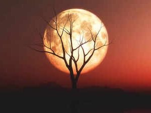 Dreams About Jesus Coming Back: What Do They Mean?