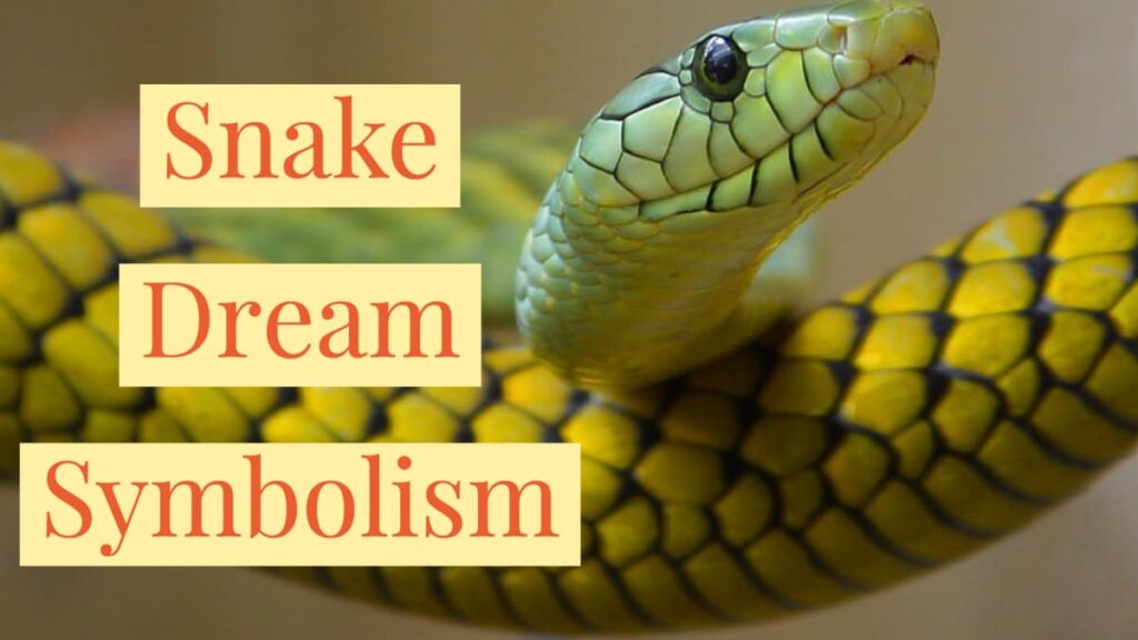 Meaning of a Yellow Snake Dream