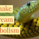 Meaning of a Yellow Snake Dream