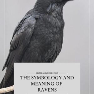 Meaning of Dreaming About a Black Cloak