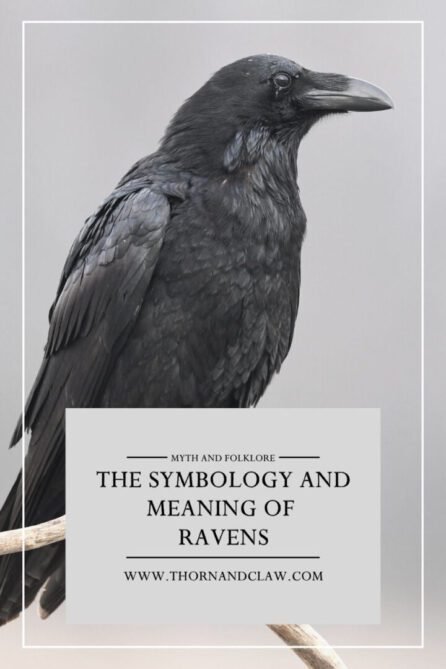 Meaning of Dreaming About a Black Cloak