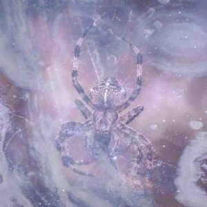 Dream About Blue Spider: What Does It Mean?