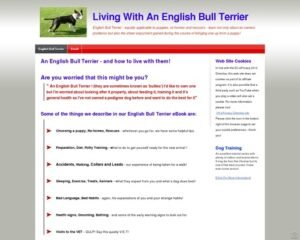 English Bull Terrier | How to live with and without them