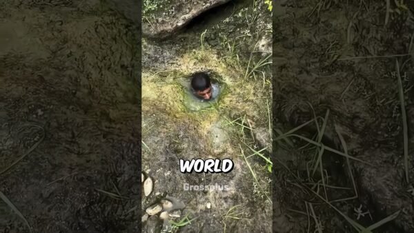 Hardest job in the world #shorts #science