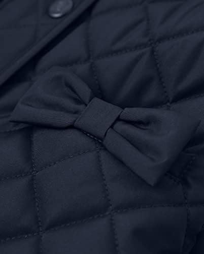 Gymboree Girls' and Toddler Dressy Coat