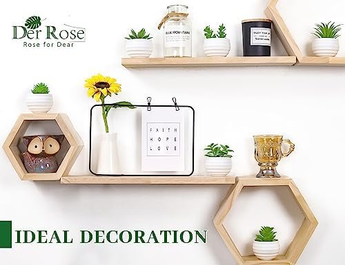 Der Rose Set of 6 Succulents Plants Artificial in Pots Small...