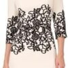 Adrianna Papell Women's Scroll Lace Short Dress