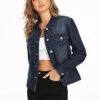 Dilgul Women's Denim Jacket Casual Long Sleeve Basic Button ...