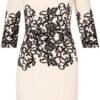 Adrianna Papell Women's Scroll Lace Short Dress
