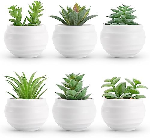 Der Rose Set of 6 Succulents Plants Artificial in Pots Small...