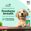 TropiClean Fresh Breath Toothbrush and Toothpaste Kit for Pu...