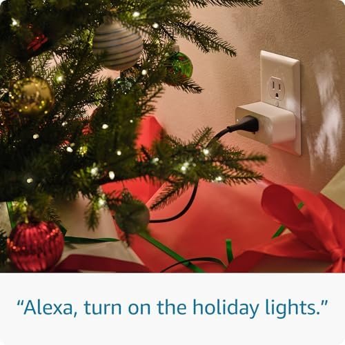 Amazon Smart Plug | Works with Alexa | Simple setup, endless...