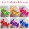Born Pretty Jelly Gel Nail Polish Spring Summer Ice Jelly Ne...