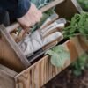 Barebones Leepa Garden Glove - Vegan-Friendly, Durable, and ...