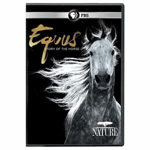 NATURE: Equus: Story of the Horse DVD NATURE: Equus: Story of the Horse DVD