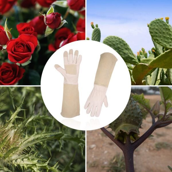 HLDD HANDLANDY Rose Pruning Gloves, Long Thorn Proof Gardeni...