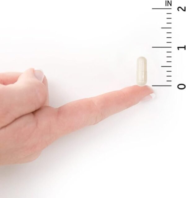 Garden of Life Raw Calcium Supplement for Women and Men - Vi...