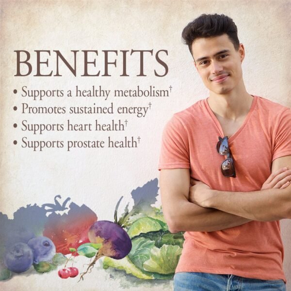 Garden of Life Organics Men's Once Daily Whole Food Multivit...