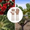 HLDD HANDLANDY Leather Gardening Gloves for Women & Men, Lon...