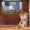 The Secret Life of Pets [DVD]