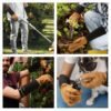 HLDD HANDLANDY Long Gardening Gloves, Thorn Proof Rose Pruni...