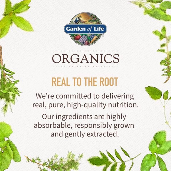 Garden of Life Organics Men's Once Daily Whole Food Multivit...