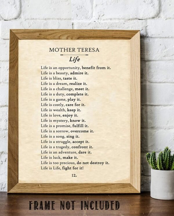 Mother Teresa - Life Is An Opportunity - Great Inspirational...
