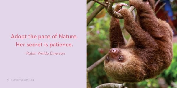 Life in the Sloth Lane: Slow Down and Smell the Hibiscus