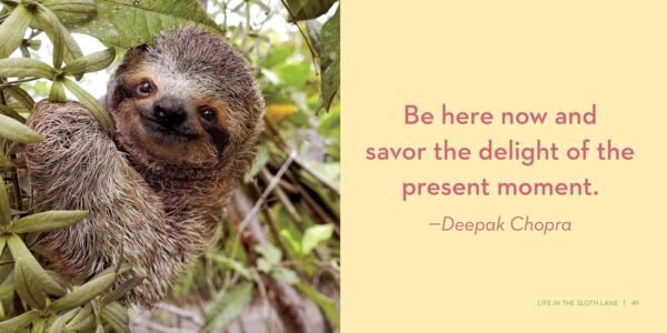 Life in the Sloth Lane: Slow Down and Smell the Hibiscus