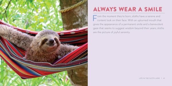 Life in the Sloth Lane: Slow Down and Smell the Hibiscus