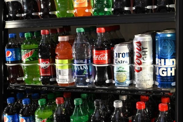 Display Technologies Visi-Slide Gravity Fed Organizer for 20-25oz Beverages on Flat and Angled Shelves in Cold Vaults & Coolers, 9-Wide, 27" Deep Drink Organizer (Pack of 6)