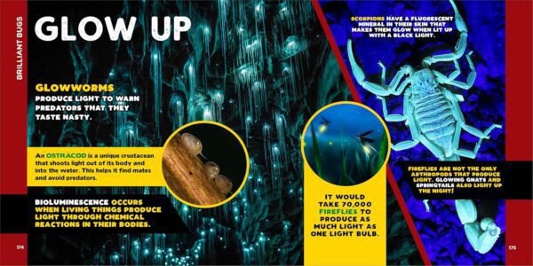 The Fascinating Bug Book for Kids: 500 Startling Facts! (Fascinating Facts)