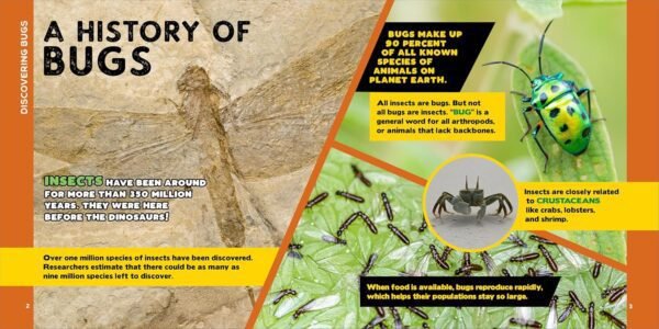 The Fascinating Bug Book for Kids: 500 Startling Facts! (Fascinating Facts)