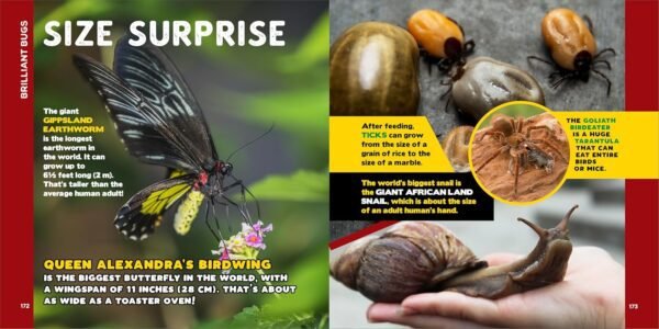 The Fascinating Bug Book for Kids: 500 Startling Facts! (Fascinating Facts)