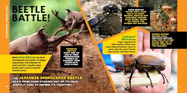 The Fascinating Bug Book for Kids: 500 Startling Facts! (Fascinating Facts)