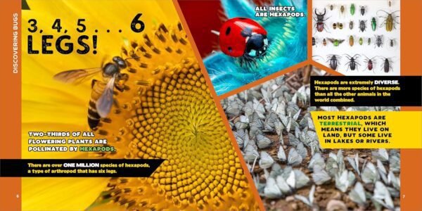 The Fascinating Bug Book for Kids: 500 Startling Facts! (Fascinating Facts)