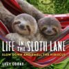 Life in the Sloth Lane: Slow Down and Smell the Hibiscus