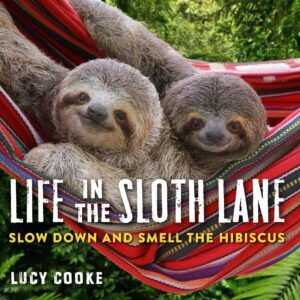 Life in the Sloth Lane: Slow Down and Smell the Life in the Sloth Lane: Slow Down and Smell the Hibiscus
