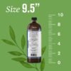 Nature's Sunshine Silver Shield Liquid, 32 Fl Oz | Colloidal Silver Liquid with Aqua Sol Technology Provides Immune Support and Protection