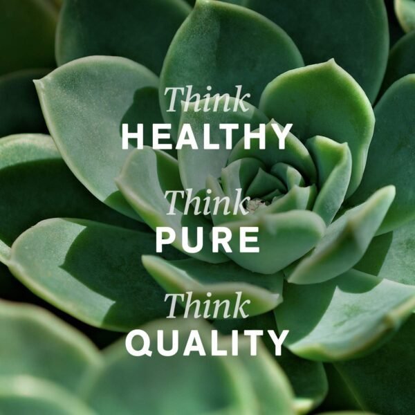 Nature's Sunshine Silver Shield Liquid, 32 Fl Oz | Colloidal Silver Liquid with Aqua Sol Technology Provides Immune Support and Protection