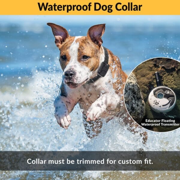 E-Collar – Educator ZEN-300-1/2 Mile Waterproof Remote Dog Training Collar Includes Premium Finger Clicker Trainer, 100 Programmable Levels + Vibration + Light + Sound