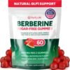 GLP-1 Support Supplement, Sugar-Free Berberine Complex Gummies with Ceylon Cinnamon, Milk Thistle, and ACV [AMPK Metabolic Activator] Berberine Supplement for Appetite Support | Diet Kits & Systems