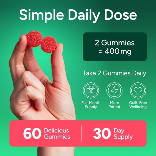 GLP-1 Support Supplement, Sugar-Free Berberine Complex Gummies with Ceylon Cinnamon, Milk Thistle, and ACV [AMPK Metabolic Activator] Berberine Supplement for Appetite Support | Diet Kits & Systems