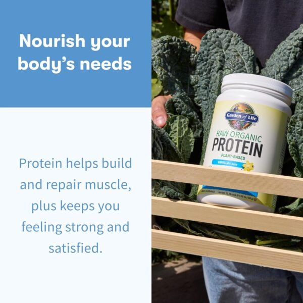 81LTO7V64bL._AC_SL1500_.jpg Garden of Life Protein Powder, Vegan Protein Powder, BCAA, Probiotics & Digestive Enzymes, Gluten & Lactose Free, Vanilla, 1.5 LB