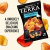 Terra Vegetable Chips, Mediterranean Garlic & Herbs Real Vegetable Chips, 5 oz